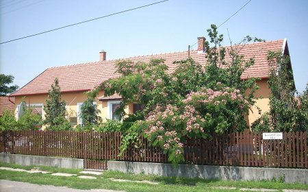 Abádi Karmazsin Ház Abádszalók