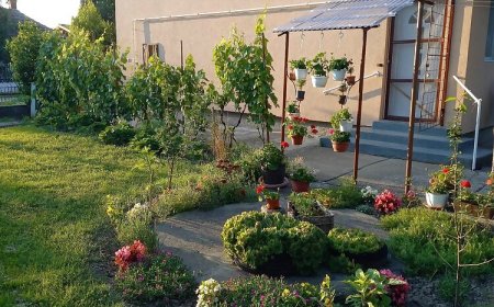 Bernáth Ház Abádszalók