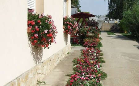 Tiszavirág Vendégház Abádszalók