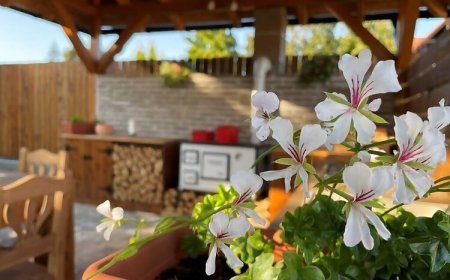 Szőlőszem Vendégház Abádszalók