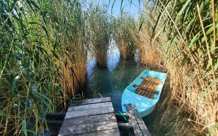 Bohém Vendégház Ábrahámhegy