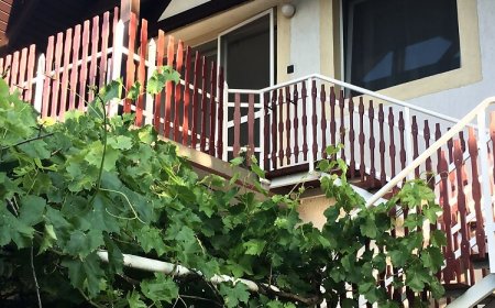 Funky Apartman Agárd