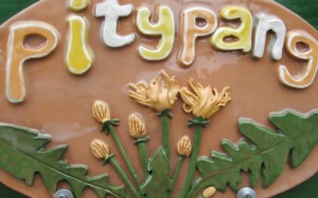 Agárd Pitypang Vendégház