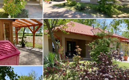 Mustang Vendégház Akasztó