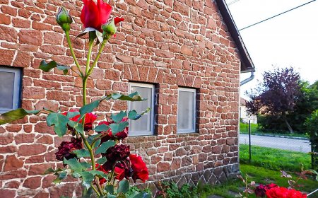 Lake Vendégház Alsóörs