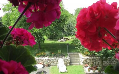 Betti Vendégház Alsópáhok