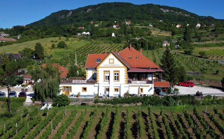 Bacchus Apartman - Borbarlang Vinotéka Badacsony