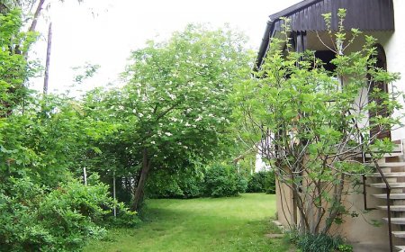 Laura Apartman Badacsony