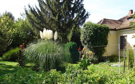 Fenyő Vendégház Badacsony