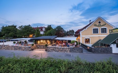 Borbarátok Panzió és Étterem Badacsonytomaj