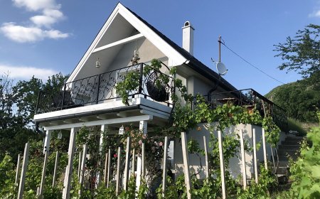 Panoráma Fészek Vendégház Badacsonytördemic