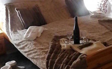 Gemenc Vendégház Baja***