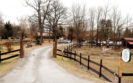 Berekkisház Bajánsenye