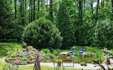 Arany Trófea Vendégház Bak