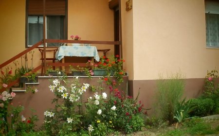 Mókus-lak Apartman Bakonybél