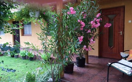 Békaváros Apartman Bakonybél
