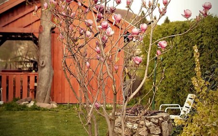 Bakonybél Vendégház Bakonybél