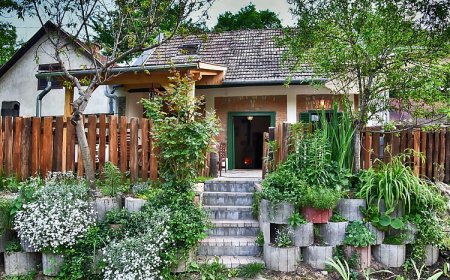 Borvirág Vendégház Bakonypéterd