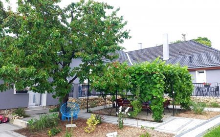 Blanka Villa Wellness Home Bakonyszentlászló