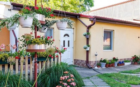 Fenyvesi Vendégház II Balassagyarmat