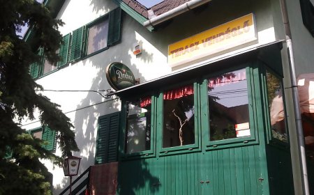 Terasz Panzió Balatonakali