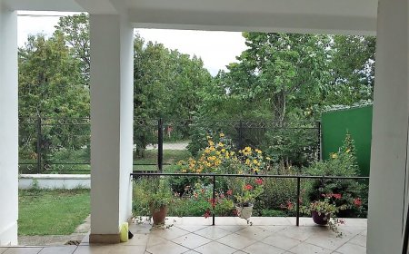 Fenyves Nyaralóház Balatonakali