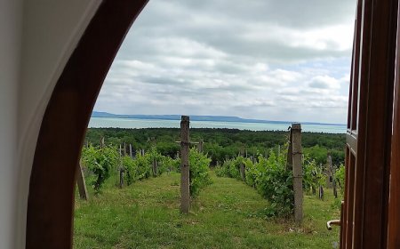 Napraszállás Vendégház Balatonakali