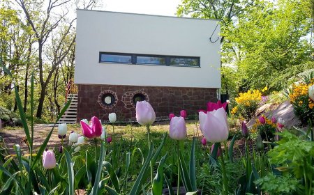 Káptalanfüred Apartman Balatonalmádi