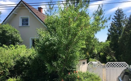 Erkel Apartman Balatonalmádi