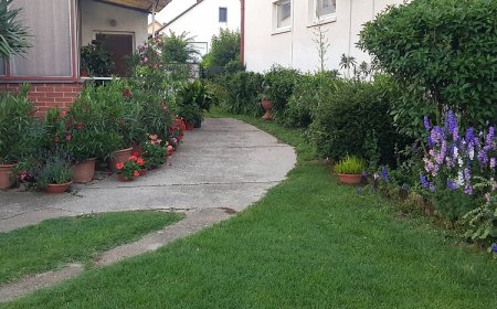 Liliom Apartman 5 Balatonboglár