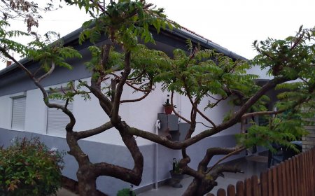 BB Ház Apartman Balatonboglár