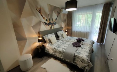 Silver Lake Apartman Balatonboglár