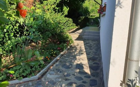 Pipacs Apartmanok Balatonboglár