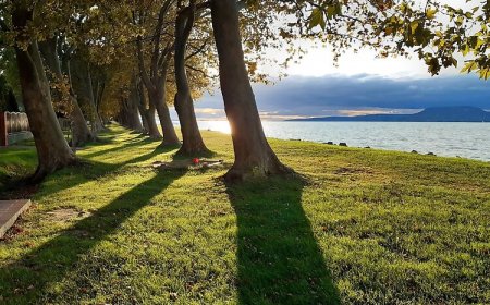 BB-Ház Balatonboglár