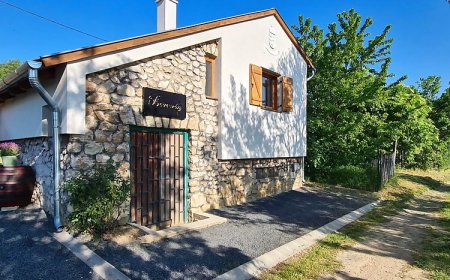 Borvirág Apartman Balatonederics