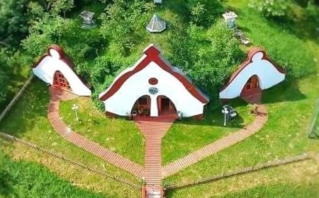 Vadaspark és Vendégház  Balatonendréd