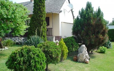 Örökzöld Apartmanok Balatonfenyves