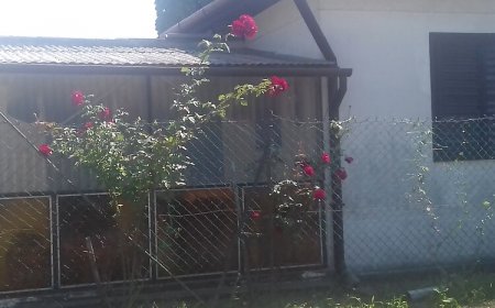 Csokonai Apartman Balatonfenyves