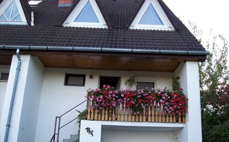 Kövirózsa Üdülőház Balatonföldvár