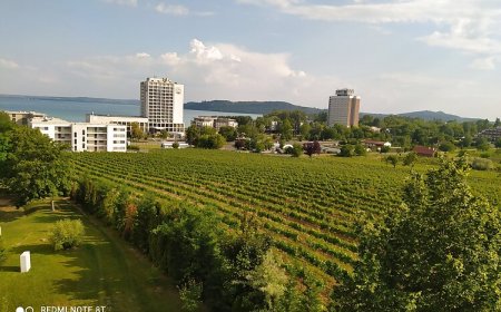 Sunset Hill Füred Apartman Balatonfüred
