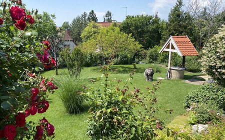 Balatonfüred-Péter Apartman Balatonfüred
