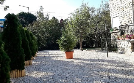 Nira Apartman Balatonfüred
