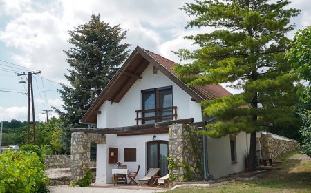 Panorama Vine House Balatonfüred