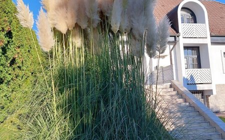 Napfény Villa Balatonfüred