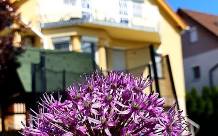 Li-Do Vendégház Balatonfüred