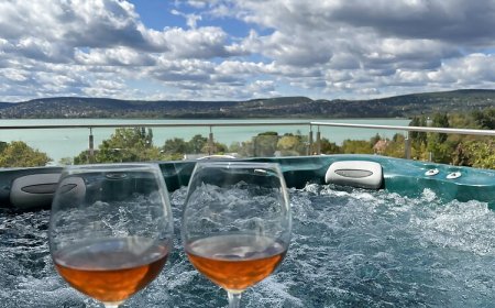 Zsolna Apartman Balatonfűzfő