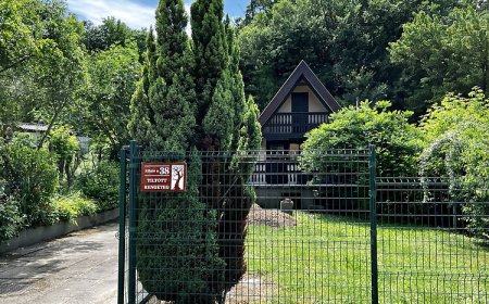 Tiltott Rengeteg Üdülőház Balatonfűzfő