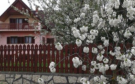 Tóth Nyaraló Balatongyörök