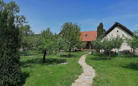 Pista Papa Tanyája Balatongyörök