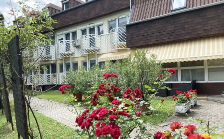 Veronika Apartman Balatongyörök